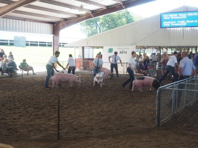2016 Mills County FairMalvern, Iowa Gallery