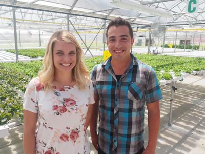 Growing Greens Changing Lives Through Lettuce Dream In Maryville