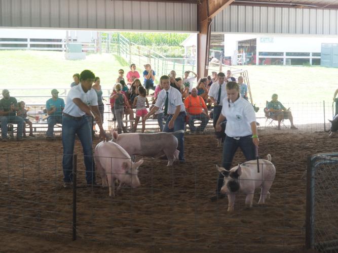 2016 Mills County FairMalvern, Iowa Gallery