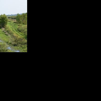 Dollison: recent heavy rains a welcome sight for area wetlands after years of drought conditions Jun 26, 2026 1 hr ago
