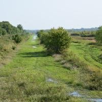 Dollison: recent heavy rains a welcome sight for area wetlands after years of drought conditions Jun 26, 2026 1 hr ago