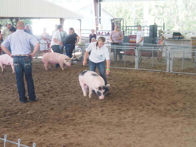 2016 Mills County FairMalvern, Iowa Gallery