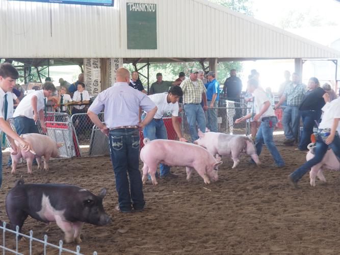 2016 Mills County FairMalvern, Iowa Gallery