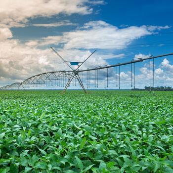 NE Water District Protects Quantity, Quality for Future Generations - Vimarsana News