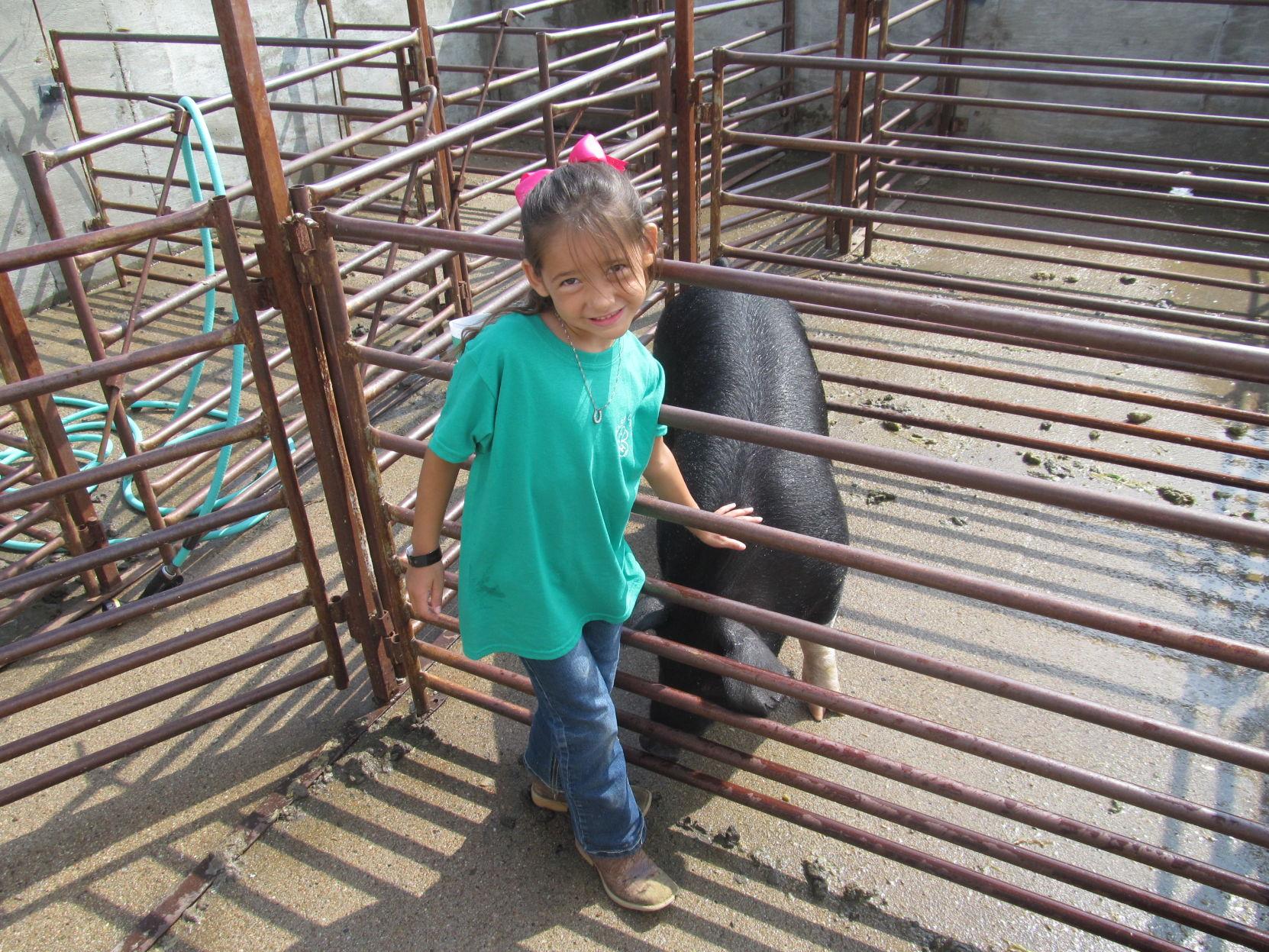 Cass County Nebraska Fair 2019Weeping Water, Nebraska