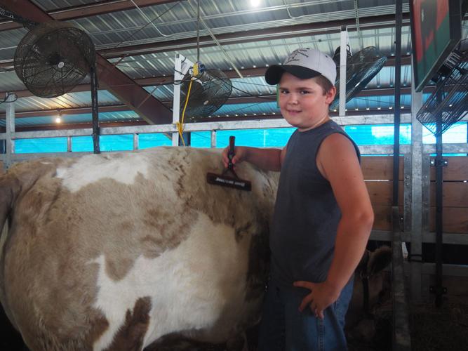 2016 Cass County Iowa Fair in Atlantic Gallery
