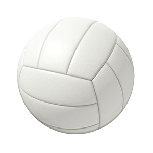 Pioneer Ball, PDF, Volleyball