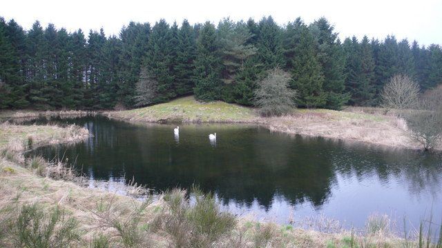 how to manage a farm pond without breaking the bank ag kmaland com farm pond