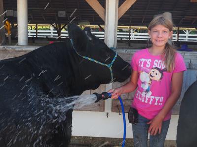 A Lumberjack Show Is One Highlight Of The Cass County Fair In