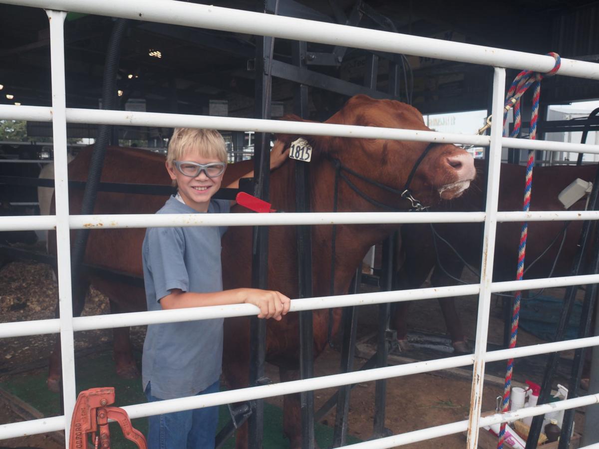 Johnson County Fair 2019Tecumseh, Nebraska Gallery