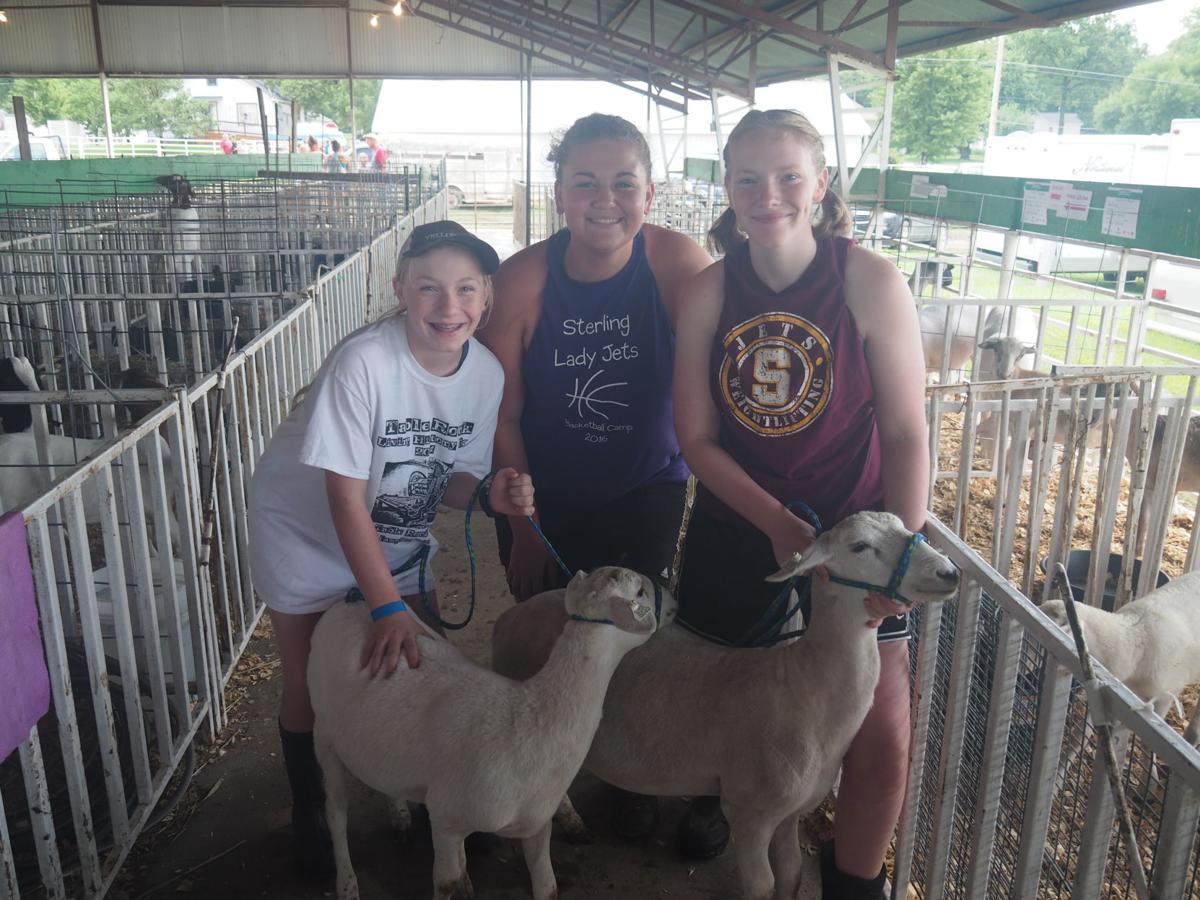 Johnson County Fair 2019Tecumseh, Nebraska Gallery