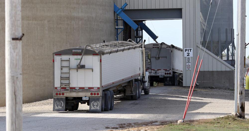 Fundamentals are Keeping the Corn Market Prices Low