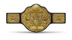 Martin Blog (4/12): A deep examination of Ric Flair's 16 world title ...