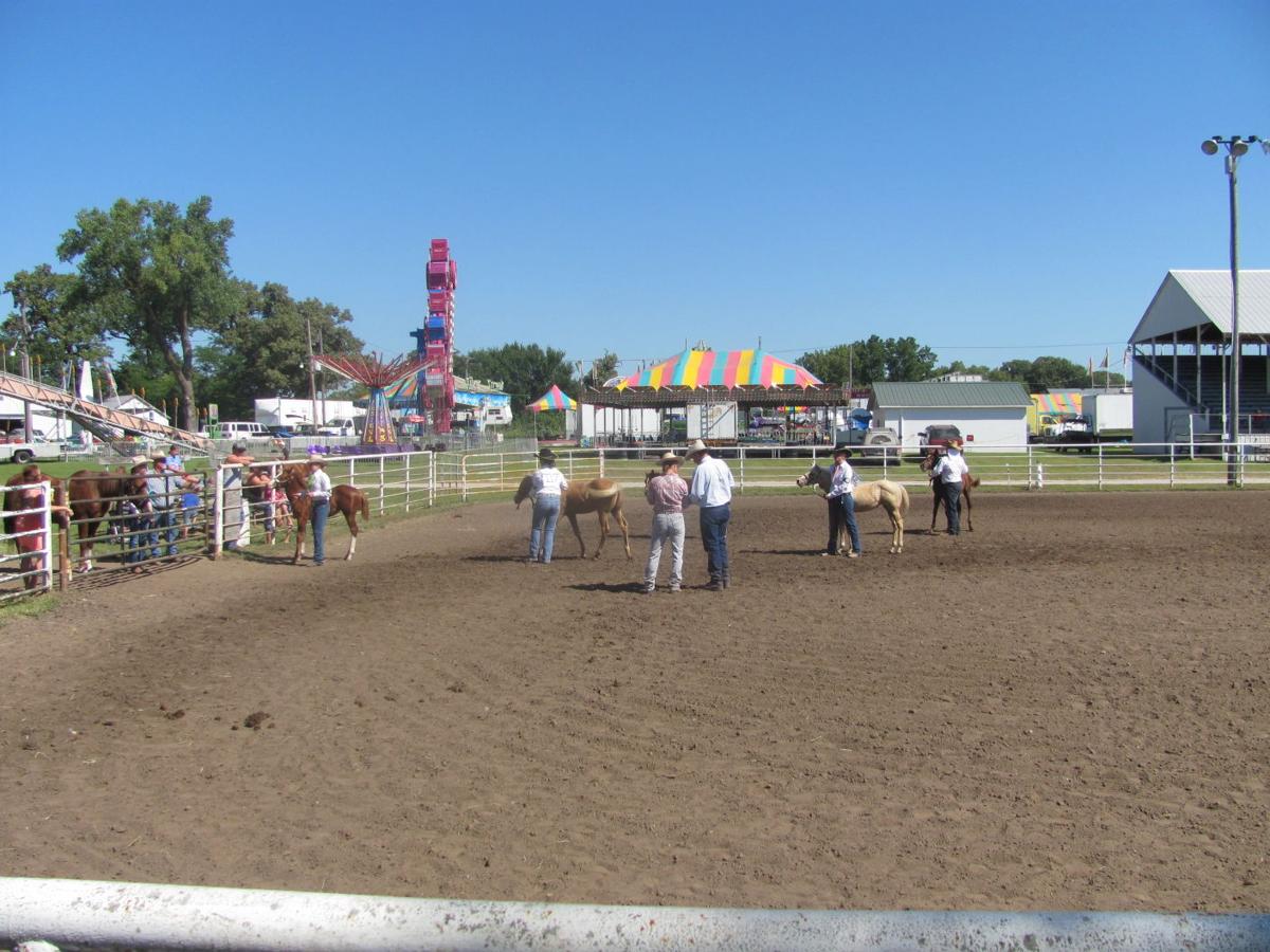 2015 Johnson County FairTecumseh, Nebraska Gallery