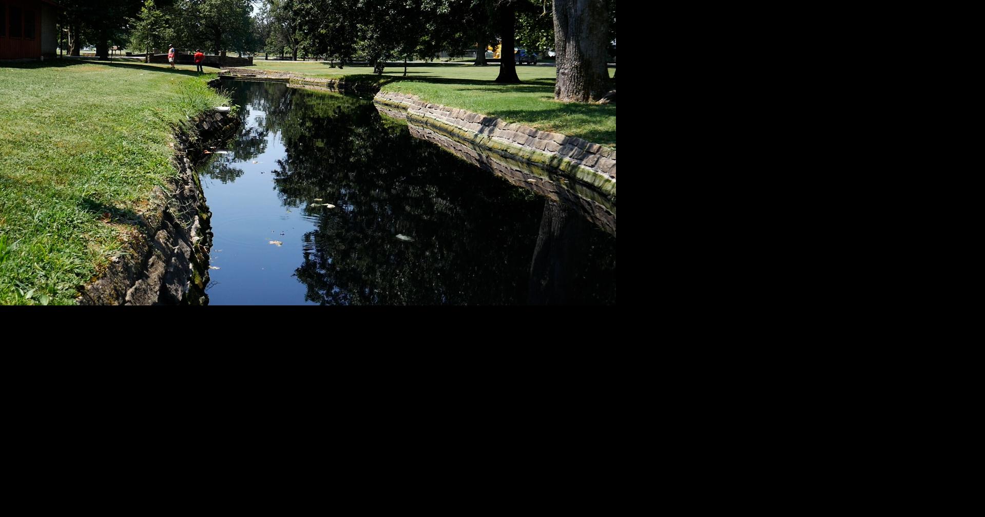 Wastewater spill contaminates creek, hundreds of fish dead