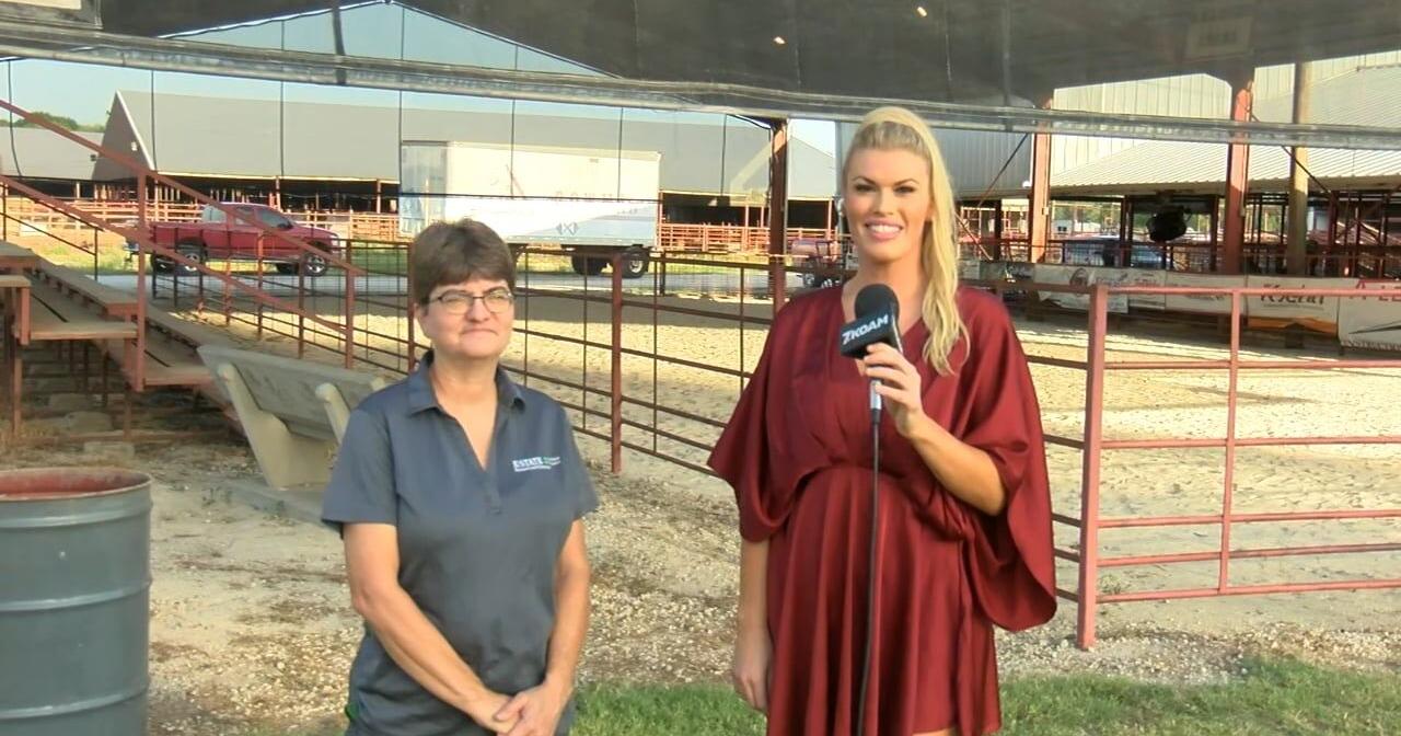 Cheri Nelsen talks about what all it takes to get live stock ready - Vimarsana News