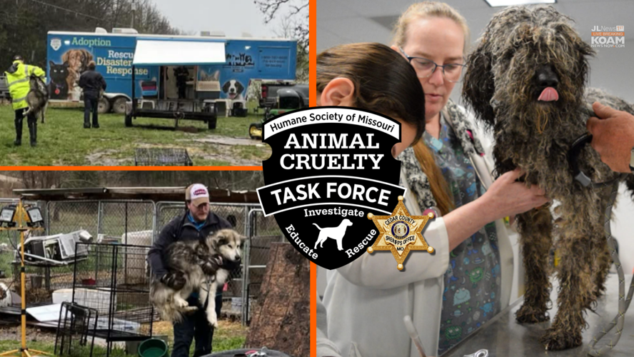 Animal Cruelty Investigation and Rescue in Cedar County | Joplin News ...