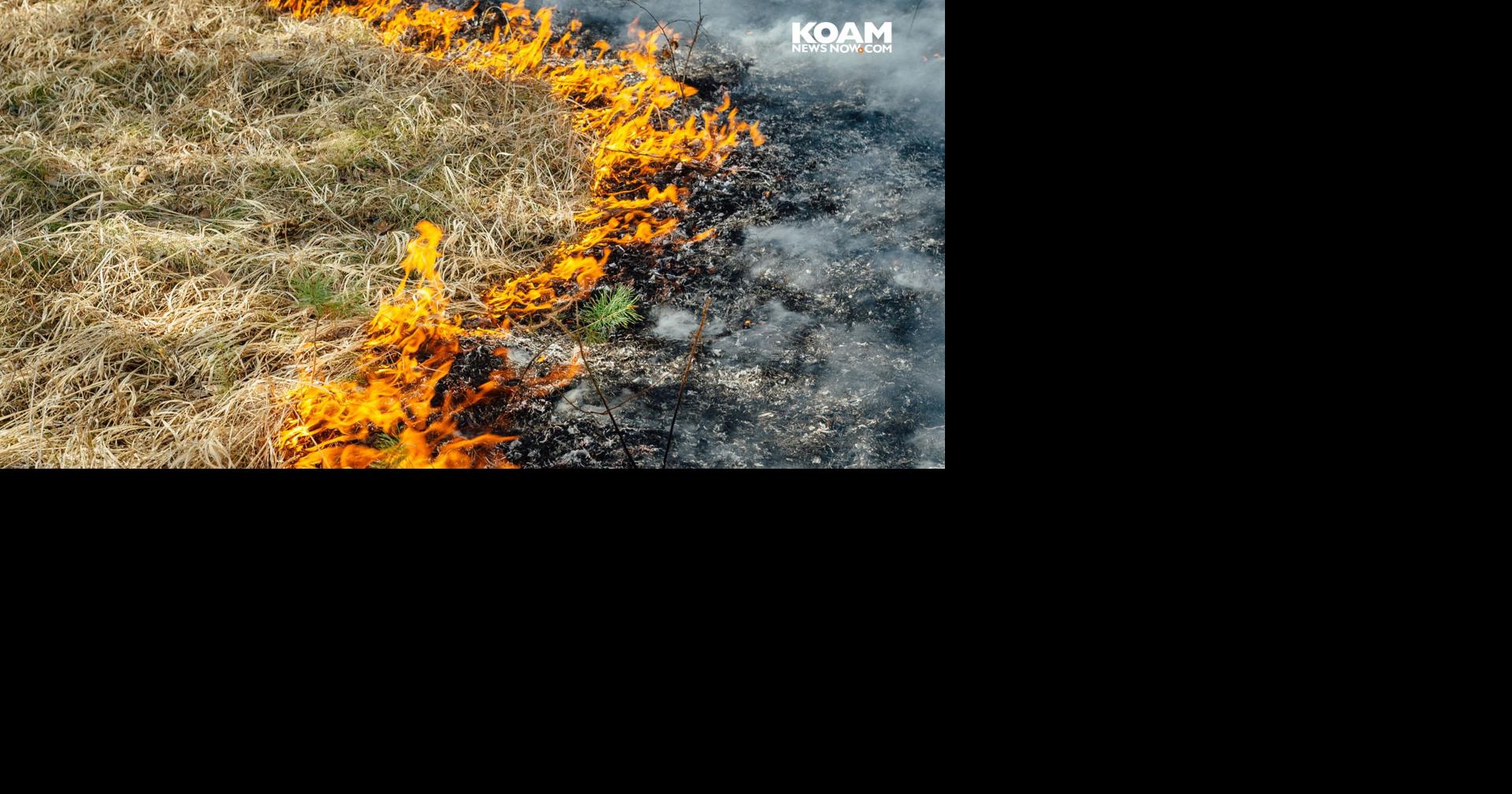 Gov. Kelly issues disaster proclamation for fire suppression | Kansas ...