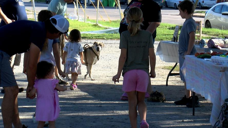 Community organizes Cherryvale Makers Market Kansas News