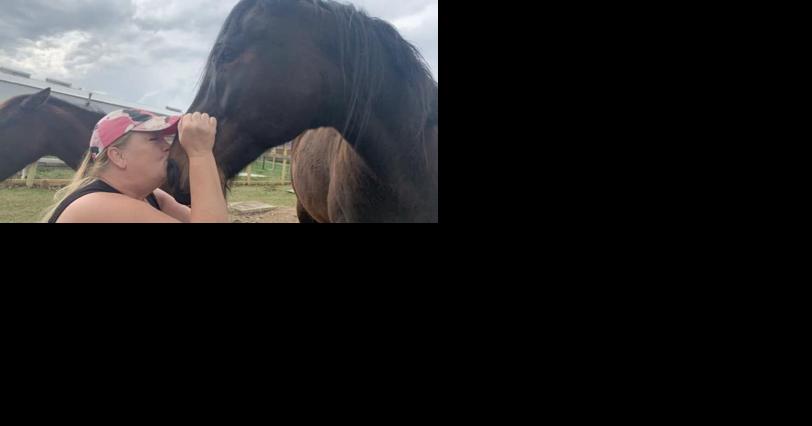 Beloved horse fatality due to heat - Vimarsana News