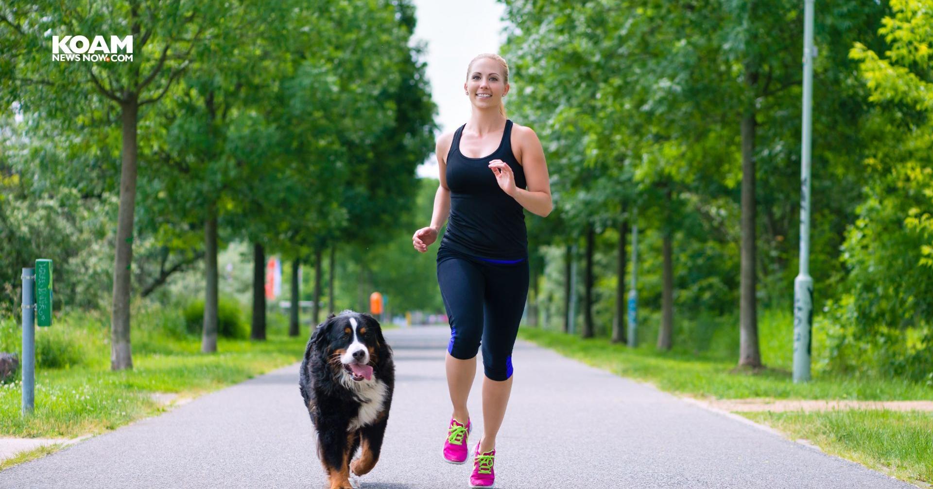 Runners take on annual 5K and 1M with four-legged friends - Vimarsana News