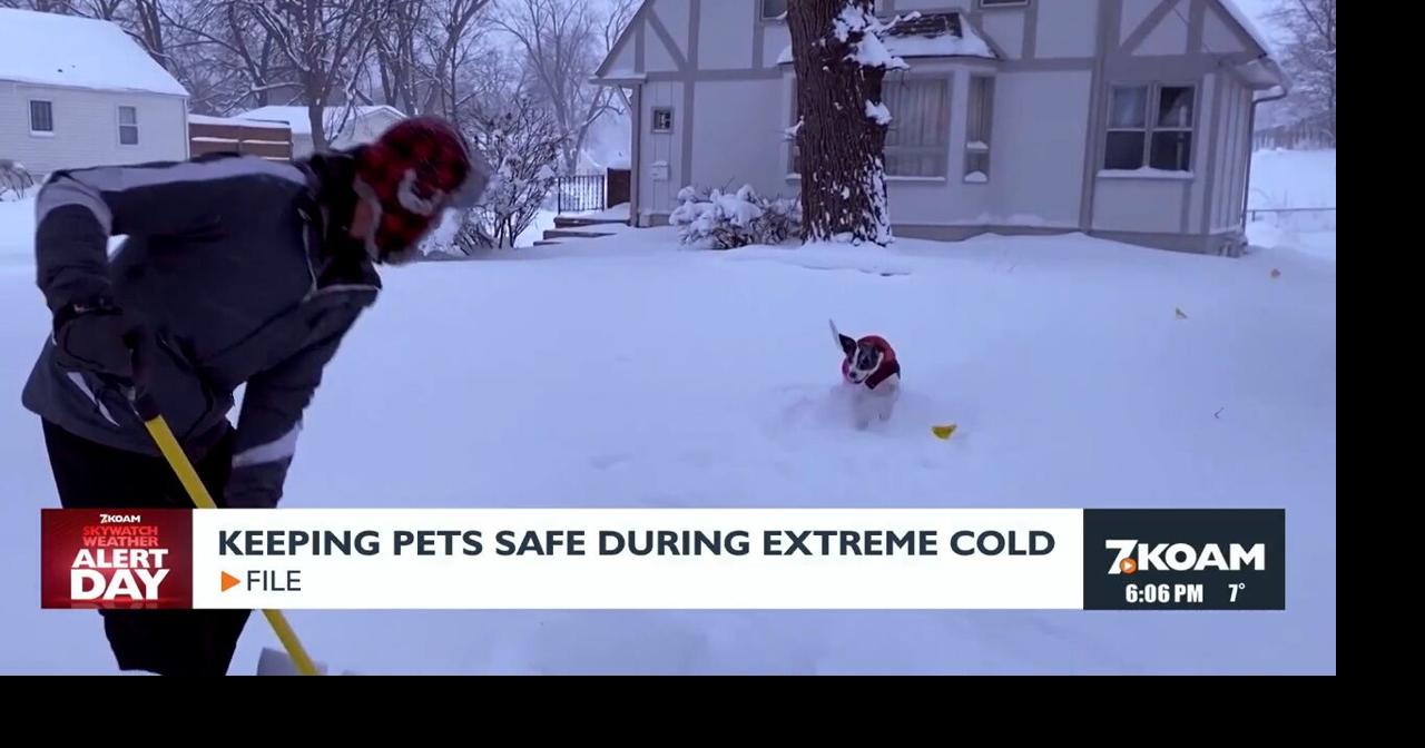 Keeping pets safe during the freezing temperatures | Pets