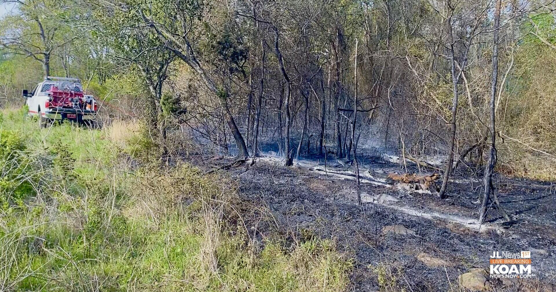 Grass fire spreads into wooded area, western edge of Carterville - Vimarsana News