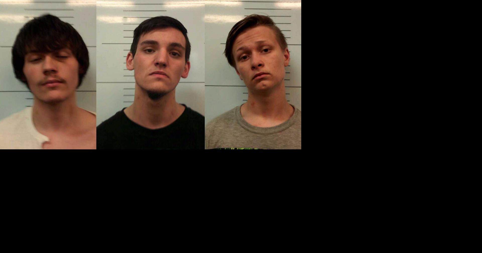 Three charged in southwest Missouri shooting, vehicle theft | News ...