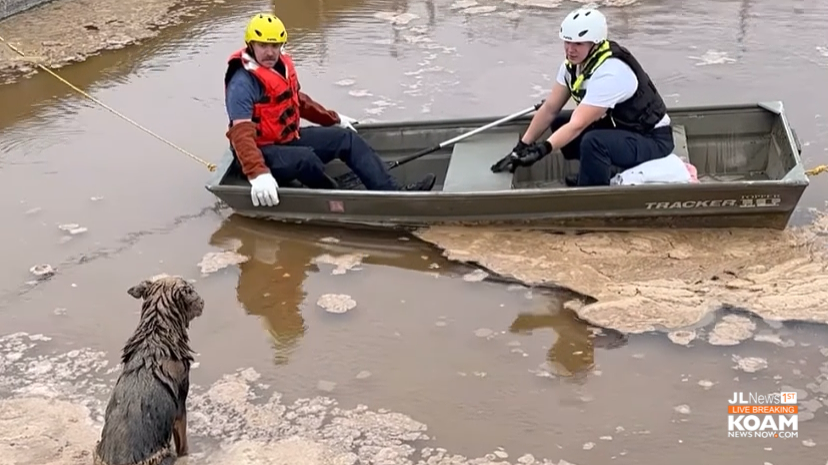 Monett Firefighters Rescue Dogs Trapped In Wastewater Pond | Joplin ...