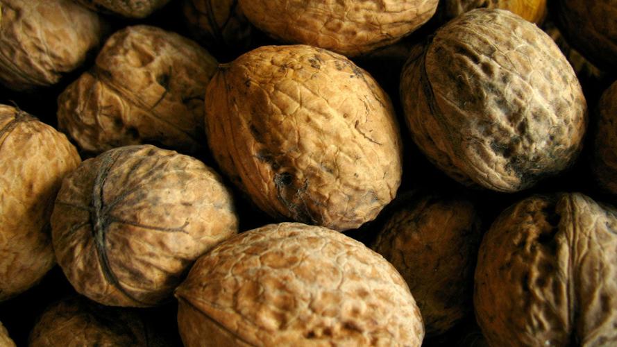 Best and worst nuts for your health Entertainment