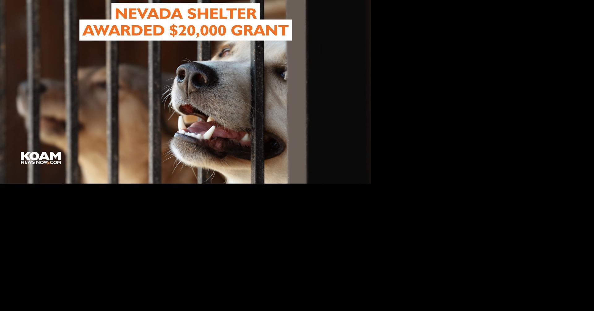 Nevada, Missouri, Animal Shelter receives $20K grant from ASPCA