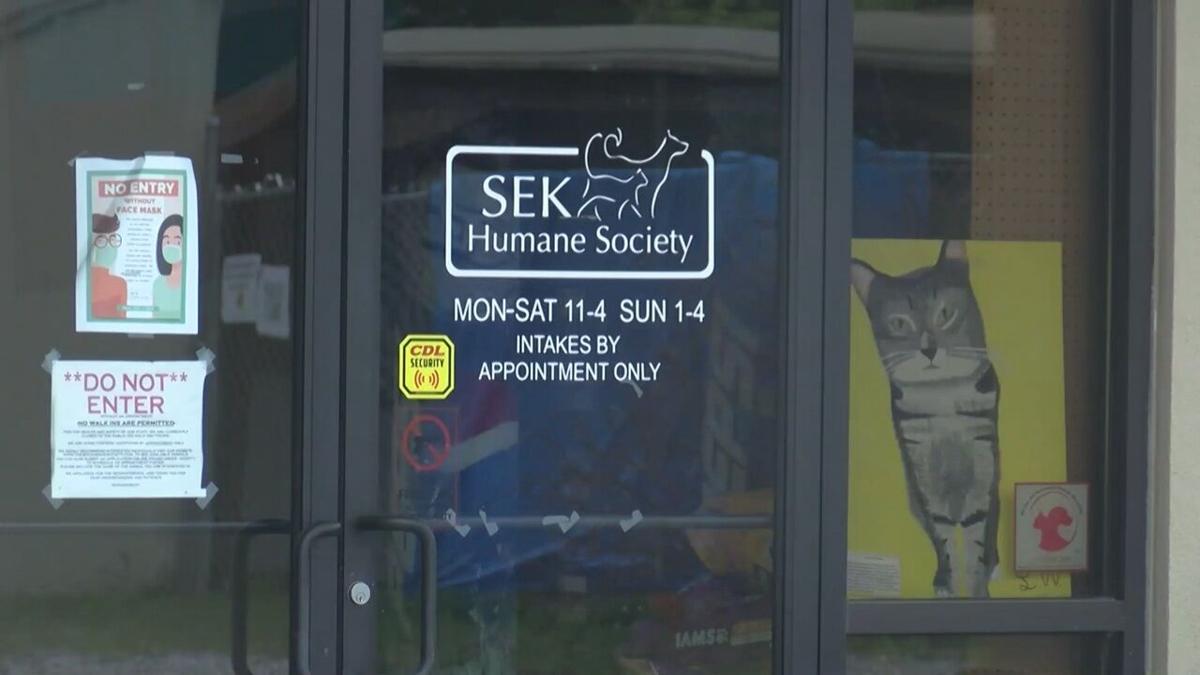 Local animal shelter hosts Christmas event for area youth Lifestyle