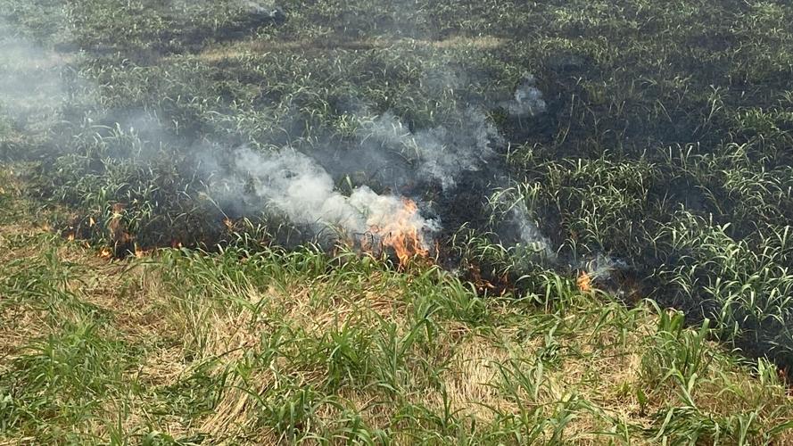 Controlled burn gets out of control in Duenweg Joplin News First