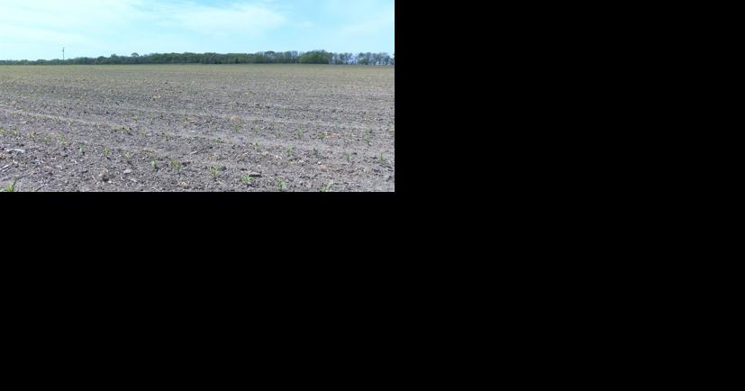 Southeast Kansas experiencing record high spell - Vimarsana News