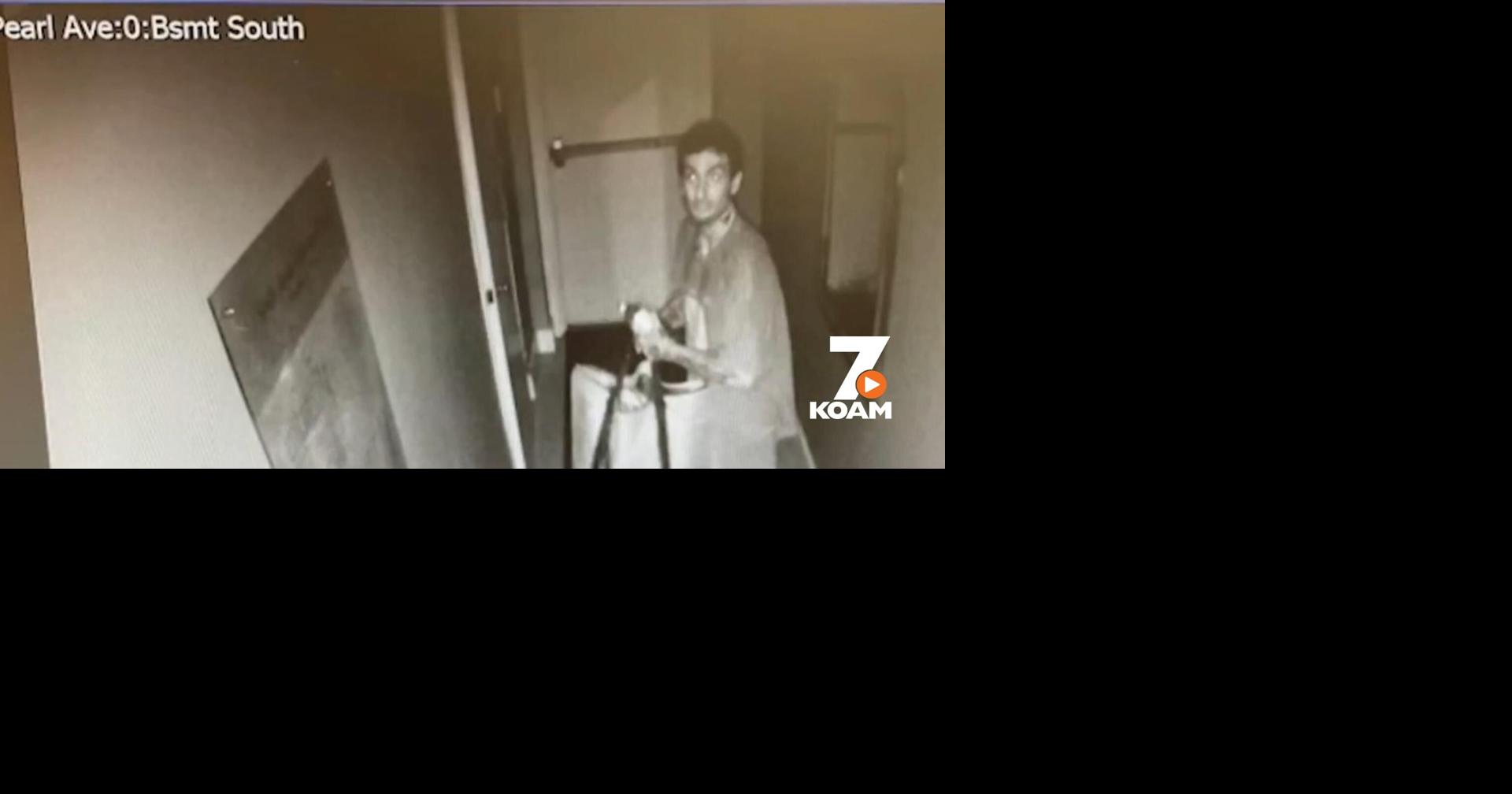 Suspect arrested and released for the vandalism and theft of the