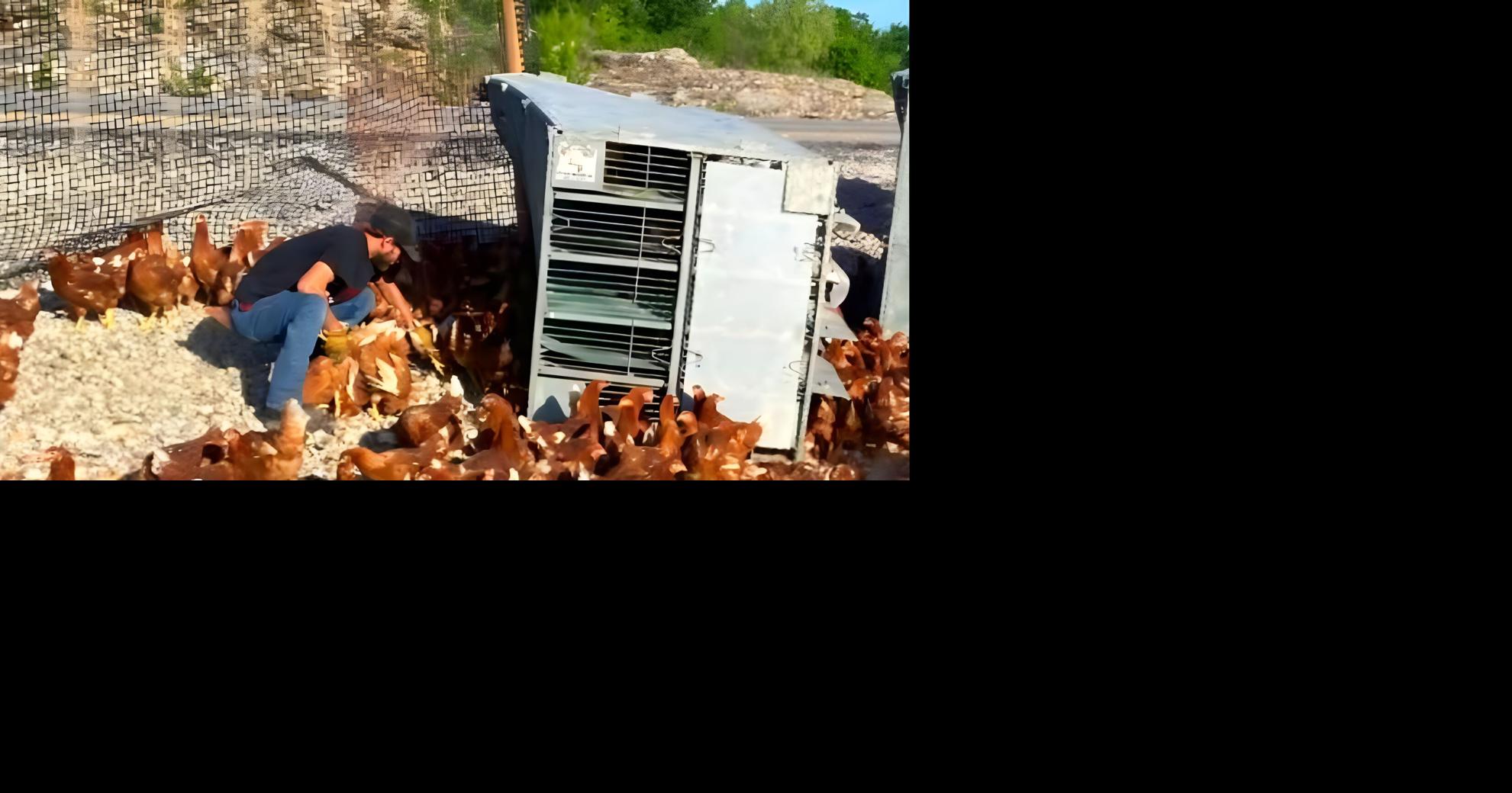 Semi loaded with chickens overturns on I-49 near Pineville | Joplin ...
