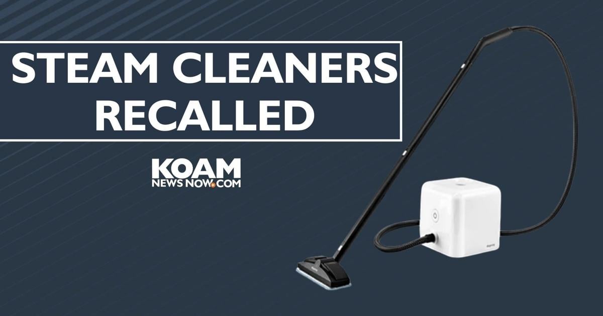 Recalled Cleaners 600K+ steam cleaners recalled due to burn hazards | Recalls ...