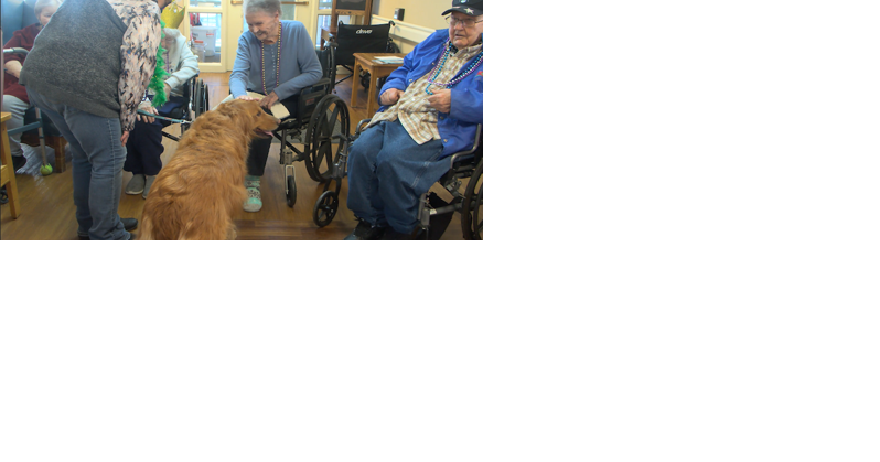 St. Luke's Residents delight in canine Mardi Gras celebration - Vimarsana News