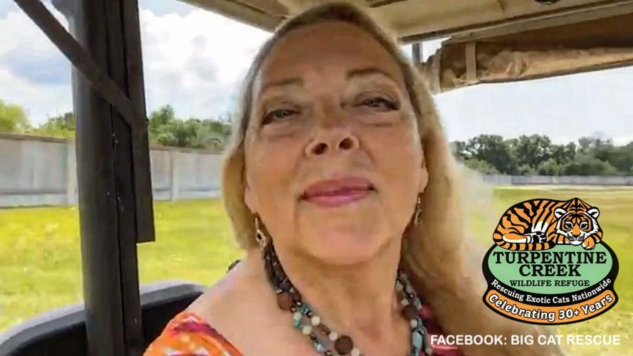 Carole Baskin of Tiger King fame to relocate her cats to Eureka Springs
