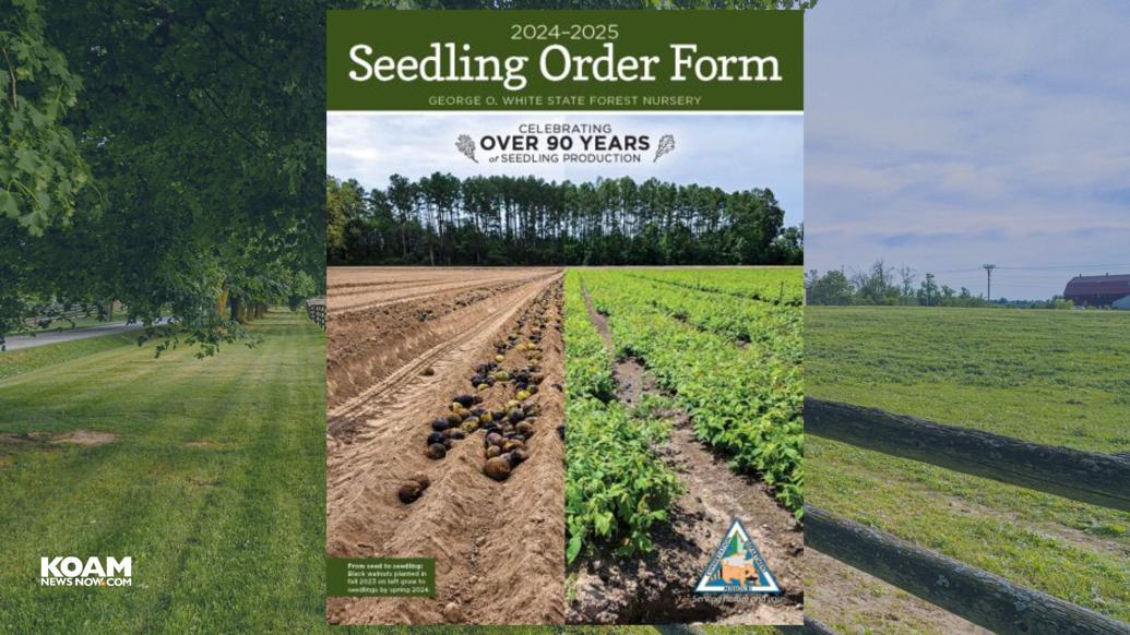 Enhance your landscape with native seedlings from MDC’s state forest