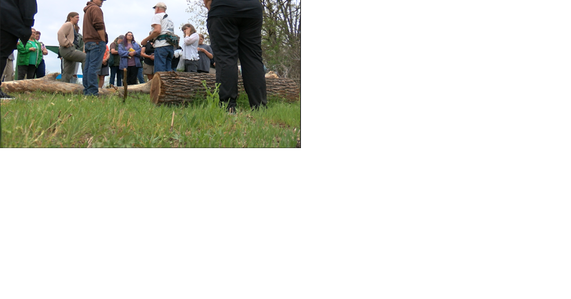 Wildcat Glades hosts foraging class - Vimarsana News