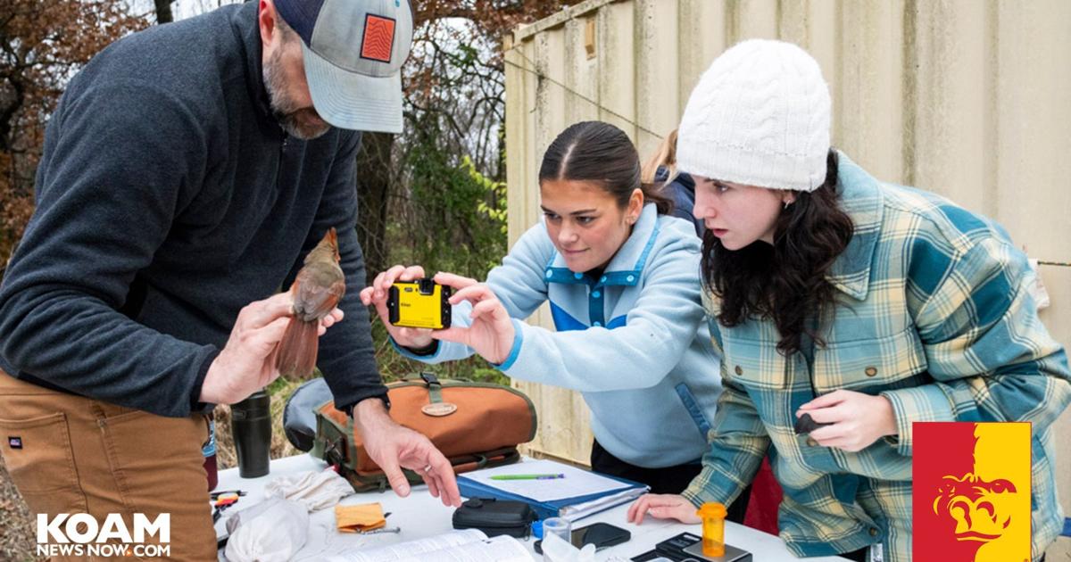 PSU Students Lead Research On Bird Migration Decline Bat Movements Psu students lead research on bird migration decline bat movements