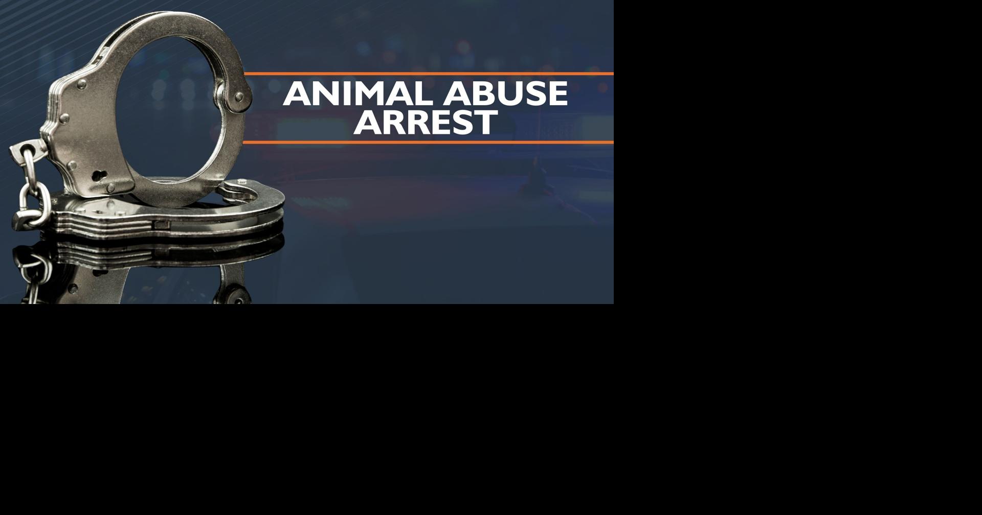 Commerce man arrested after a viral video shows dog being struck