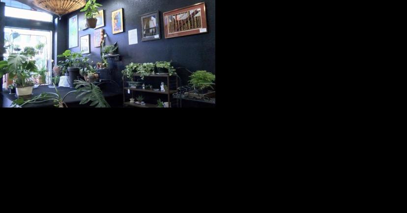 Local artists featured at Plant Parenthood during open house event - Vimarsana News