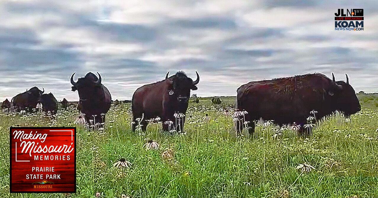 National Prairie Day, Prairie State Park is a place you should visit! - Vimarsana News