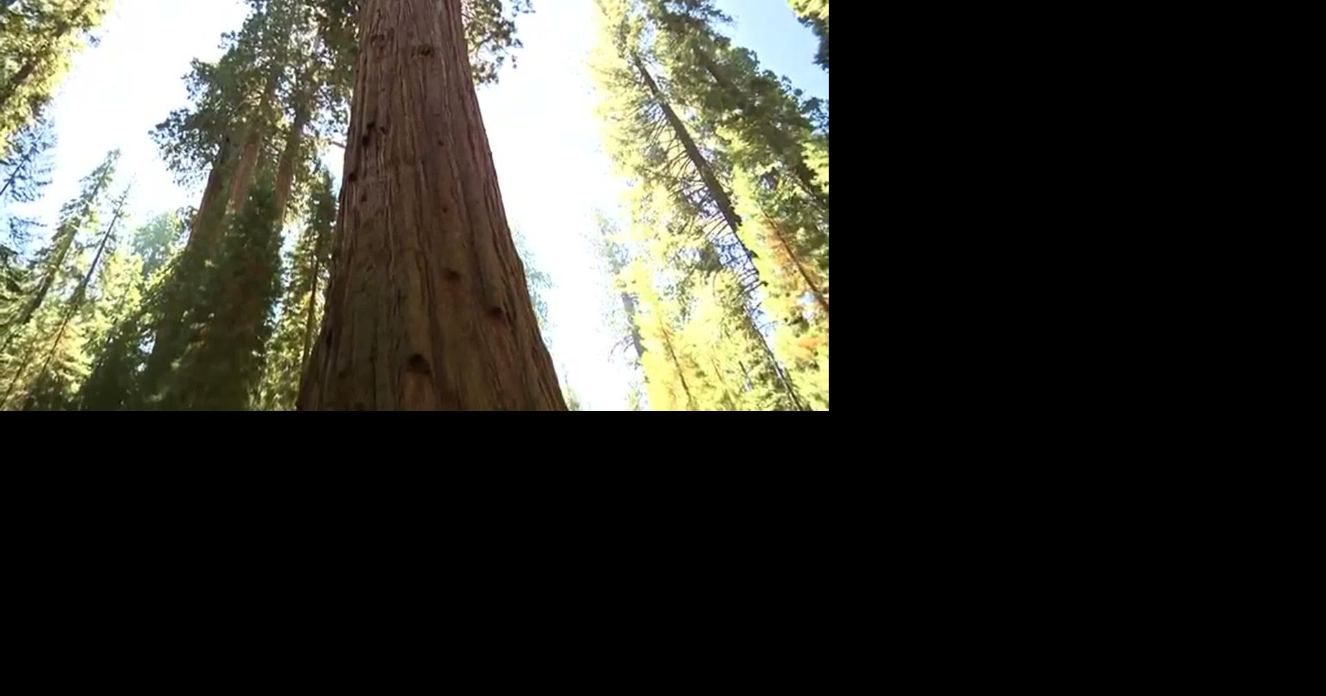 RAW: FILE: US FOREST SERVICE FINDS $16M IN SAVINGS