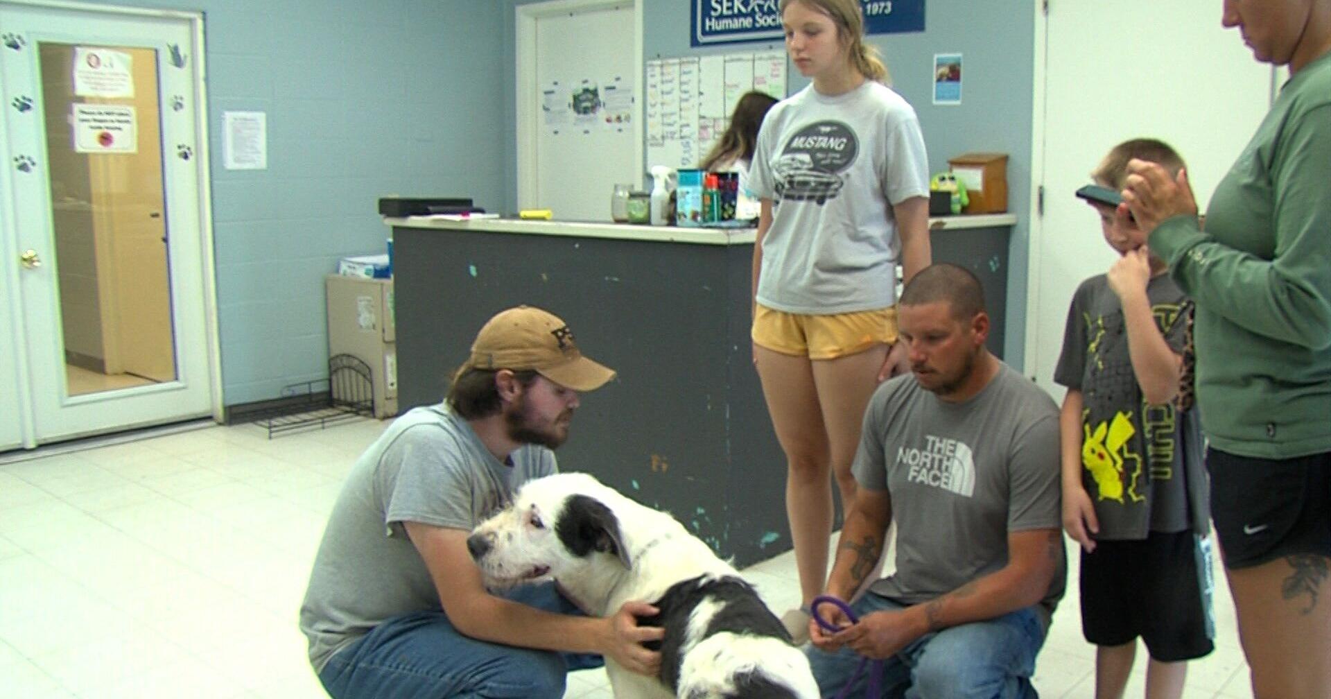 Local humane society hosts microchip clinic for pets - Vimarsana News