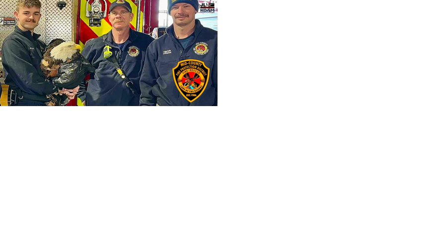 Firefighters rescue injured bald eagle, interestingly their crest/patch features an eagle! - Vimarsana News