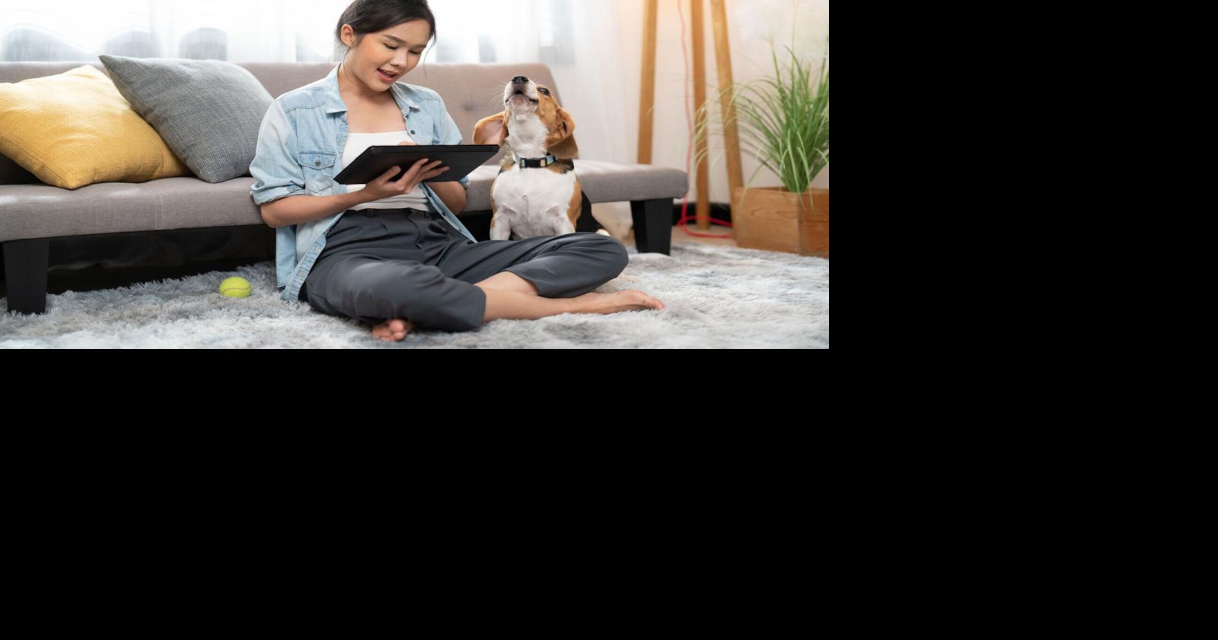 How to Make ‘Financial Wellness’ Work for You