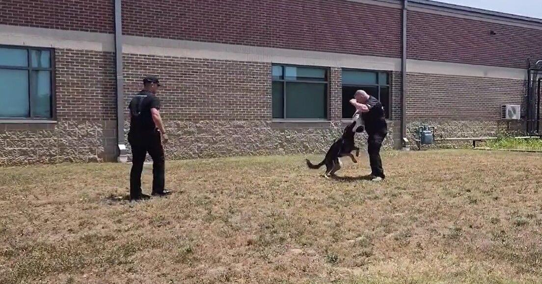 JPD welcomes two new K-9's to the squad with a live demonstration - Vimarsana News